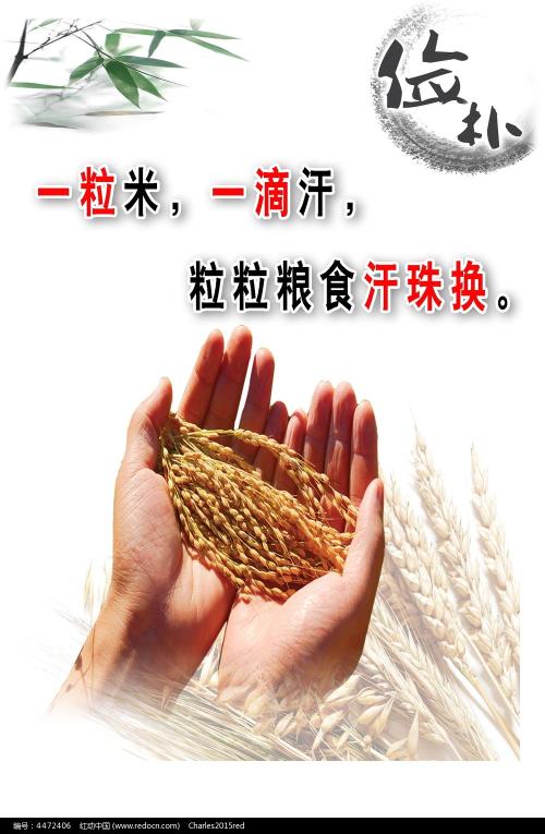 潍坊学院2019学位证